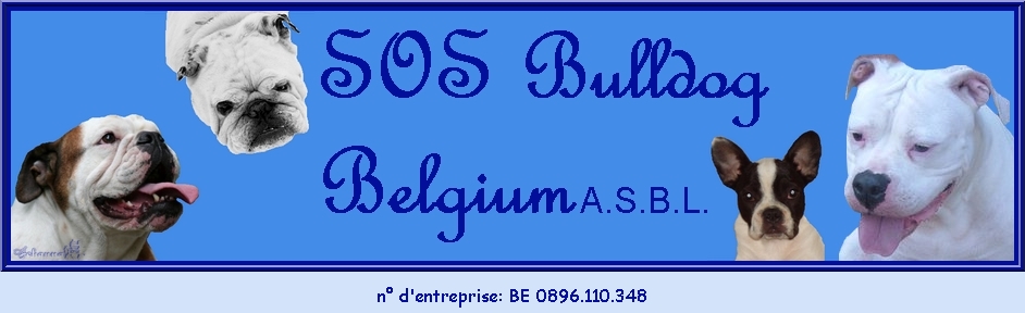 SOS BULLDOG BELGIUM ASBL