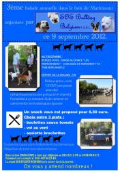 affiche-ballade-3.jpeg