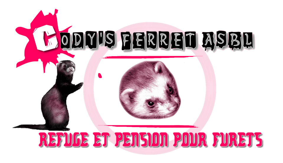 Cody's Ferret A.S.B.L.