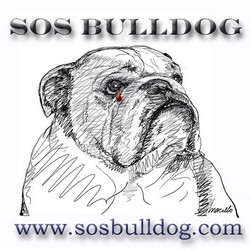 SOS Bulldog