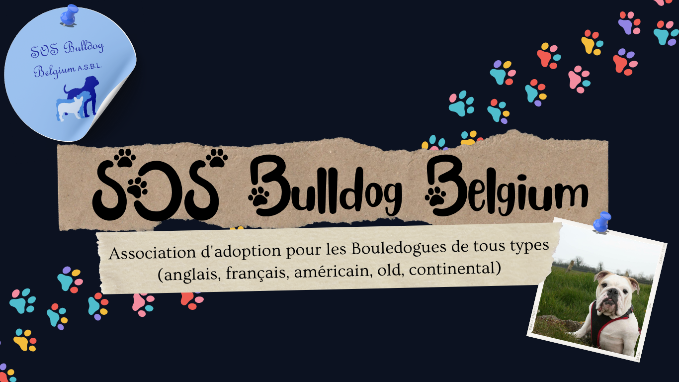 SOS Bulldog Belgium A.S.B.L.